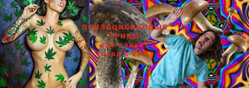 Галлюциногенные грибы Magic Shrooms  Лесозаводск 